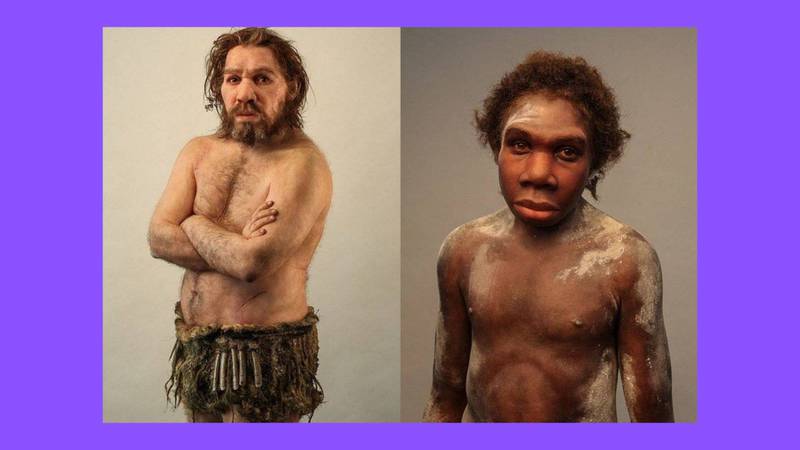 homo neanderthalensis y homo sapiens